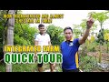 Amazing integrated farm  quick tour wow na maximized ang almost 1 hectare na farm