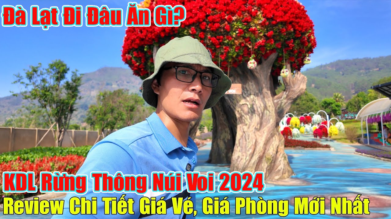 Hướng Dẫn Tham Quan Rừng Thông Núi Voi Đà Lạt, Giá Vé 2024