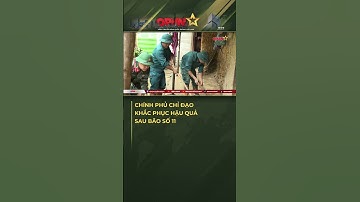 Chính Phủ Chỉ Đạo Khẩn Trương Khắc Phục Hậu Quả Bão Số 11, Bảo Đảm Đời Sống Nhân Dân!