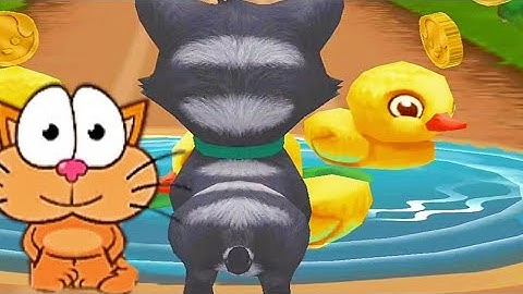 Pet Run - Puppy Dog Game#8 (part 5) _ Gameplay 2022_ios, Walkthrough, Android game