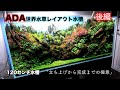 ADA世界水草レイアウト2021 上級者の中の下っ端ぐらいの人の120センチ水槽 ミスト管理から注水 完成 後編
