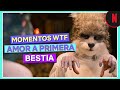 Los momentos más extraños en Amor a primera bestia