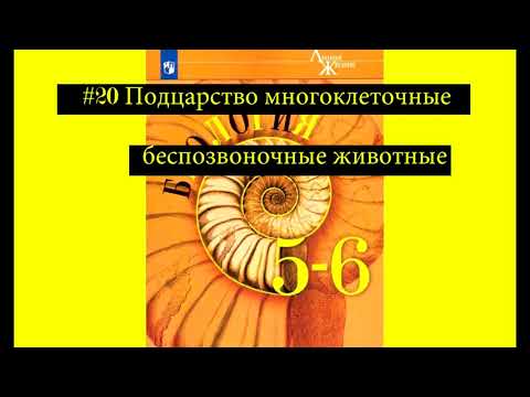 Биология параграф 20 Подцарство многоклеточные. Беспозвоночные животные.
