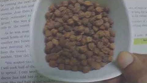 Soaking Of Seeds | Seeds and Seeds | EVS | Introduction | Class 5 | NCERT | Learn With Logic