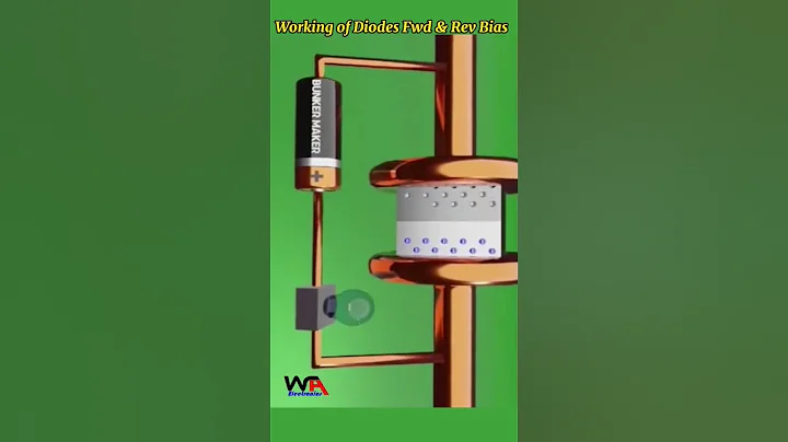 Working of Diodes in Forward & Reverse Bias #Diodes