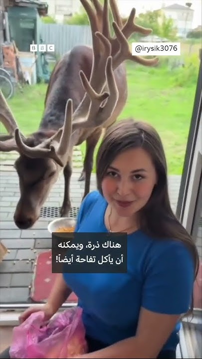 ...       
 - نشر قبل 9 دقيقة