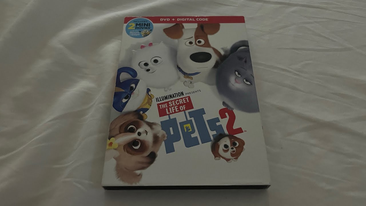 Opening to The Secret Life of Pets 2 2019 DVD - YouTube