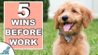 Your 10 Minute Morning Puppy Training Plan by McCann Dog Training 55,386 views 6 months ago 13 minutes, 56 seconds