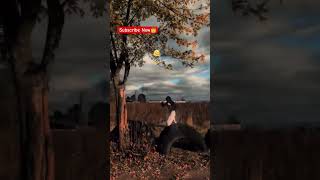 ✍️👑🔥ये Video तुम्हारा भविष्य बना देगी #success #1m #viral #contentcreator #trending #foryou #shorts