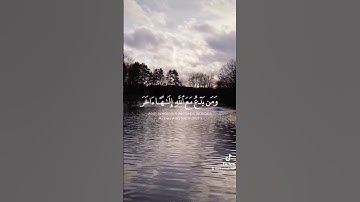 افحسبتم انما خلقناكم عبثآ  القارئ : احمد النفيس #tiktok #quran_h2o