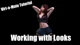 Virt-a-Mate Tutorial - Working with Looks