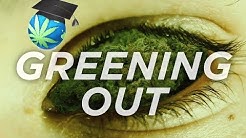 Green Out Survival Guide (Emergency Tips)