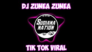 DJ ZUNEA ZUNEA TIK TOK VIRAL TERBARU 2021 ( DJ DESA)