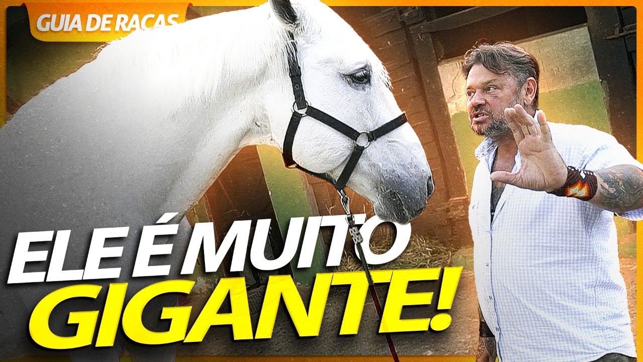 ANDALUZ, UM HOMEM MONTADO NESTE CAVALO VALE POR DEZ! | RICHARD RASMUSSEN