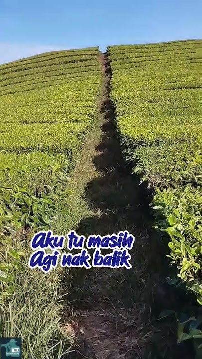 lah mabuk di Jando #sahabatkerinciku #lagukerincijambi #viralvideo