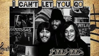 Watch Bee Gees I Cant Let You Go video