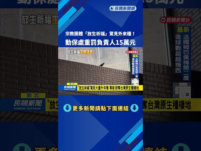 放生祈福？ 宗教團體野放2千隻鳥 「驚見外來種」遭重罰－民視台語新聞
