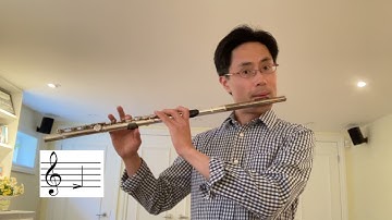 Pizzicato - Extended Techniques for Flute, Alto Flute and Piccolo