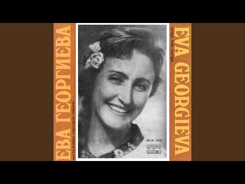 Мъри Тудоро