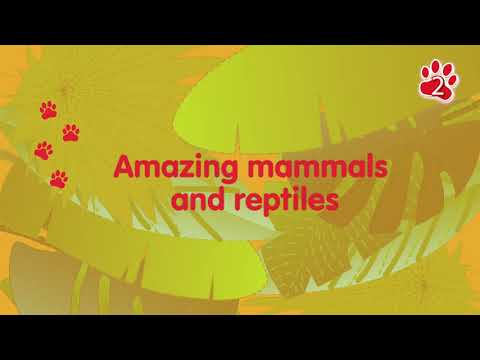 MAMMALS AND REPTILES