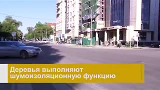 60-70% загрязнений воздуха от выхлопных газов автомобилей в Бишкеке