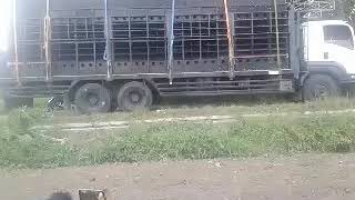 Balada Dewa Cek Sound