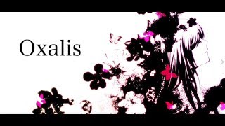 Oxalis / ウォルピスカーター【歌ってみた】 chords