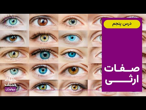 صنف بیولوژی صنف دوازدهم درس 5 صفات ارثی