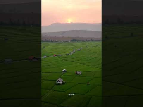 جادوی سبز و طلایی بهترین درمان ایران مازندران