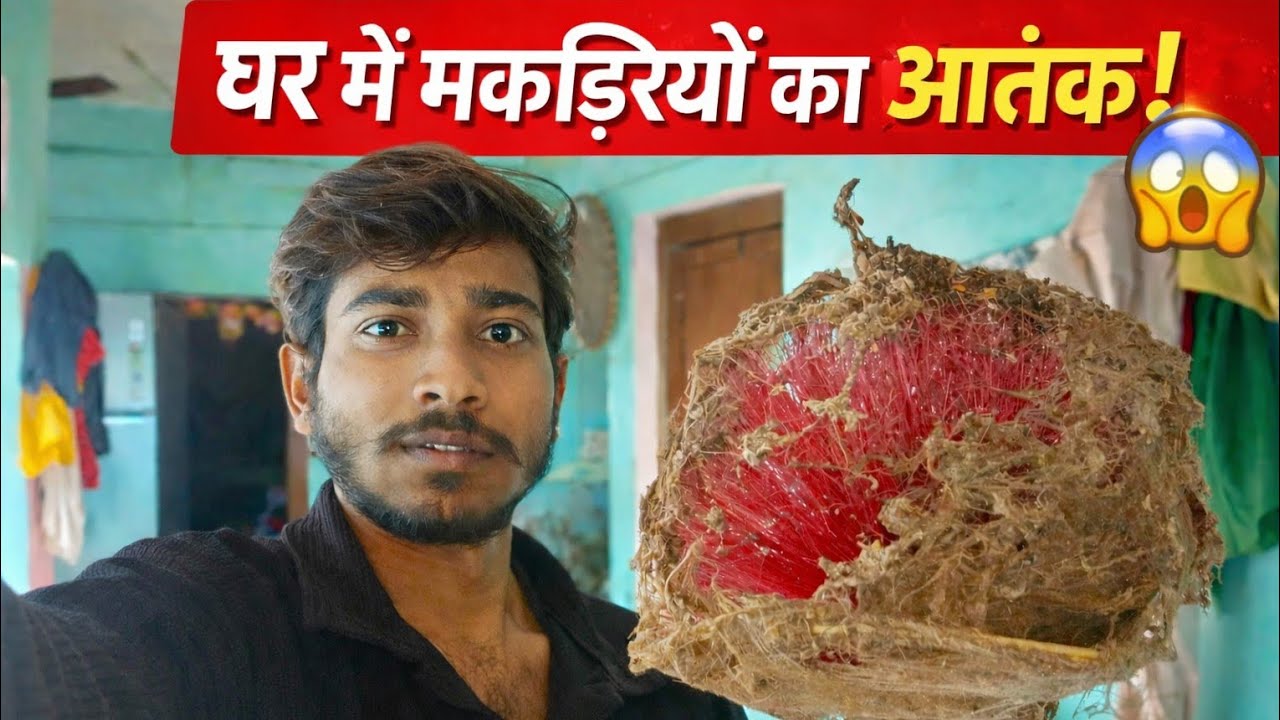 घर में मकड़ियों का आतंक 🕷️🕸️| Spiders Se Pareshan