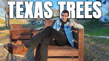 9 Texas Native Trees You’ll Almost Never Find at a Nursery