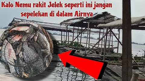 PESTA STRIKE BERTUBI-TUBI BAGIAN 2 || Mancing Jatiluhur Terbaru