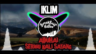 SERIBU KALI SAYANG - IKLIM | DJ BREAKBEAT REMIX TERBARU 2023