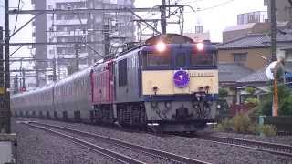 EF64 1051+EF81 133牽引9011レE26系カシオペアクルーズ@本庄~神保原 H25/10/5