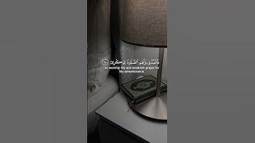 #القرآن_الكريم #تلاوة_خاشعة #راحة_نفسية