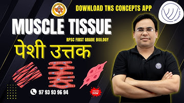 Muscle Tissue | RPSC FIRST GRADE BIOLOGY | TNS CONCEPTS APP 