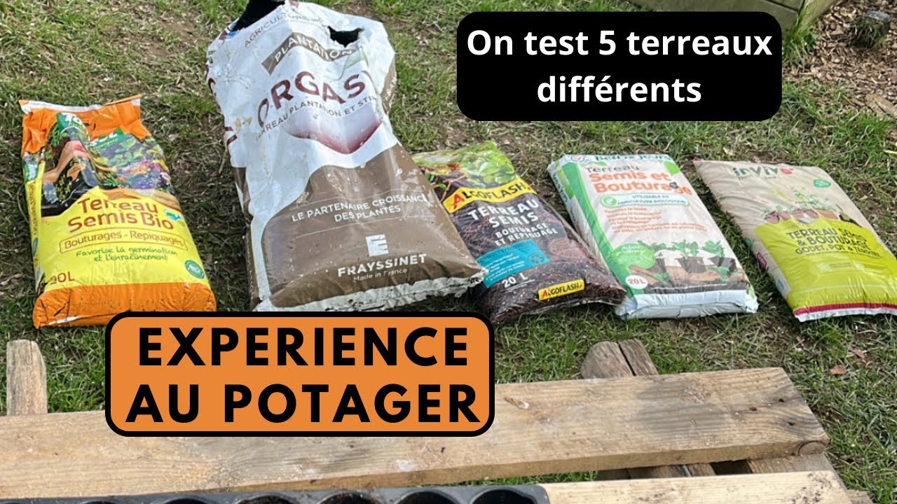 Expérience terreau à semis