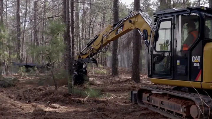 CAT Mini Excavator Mulcher Overview