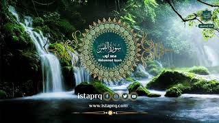 سورة القمر - محمد أيوب | Surat Al-Qamar - Mohamed Ayoub (جوده عاليه -High Quality)