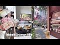 فلوق أسبوعي من حياة الأمومة 👩🏻‍🍼🌤️، مشتريات متنوعة من شي ان 📦، طبخ 🥘، تسوق 🎀 | WEEK IN MY LIFE