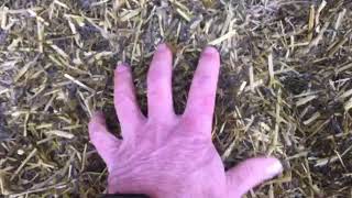 Cut To Clamp Silage Clamp Lessons: Silage feel (and smell)