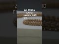 Angels Make Dua for You #Quran #Quran #Muslim #Islam #Allah  #Hadith #islamic #Sunnah #Prophet #Deen