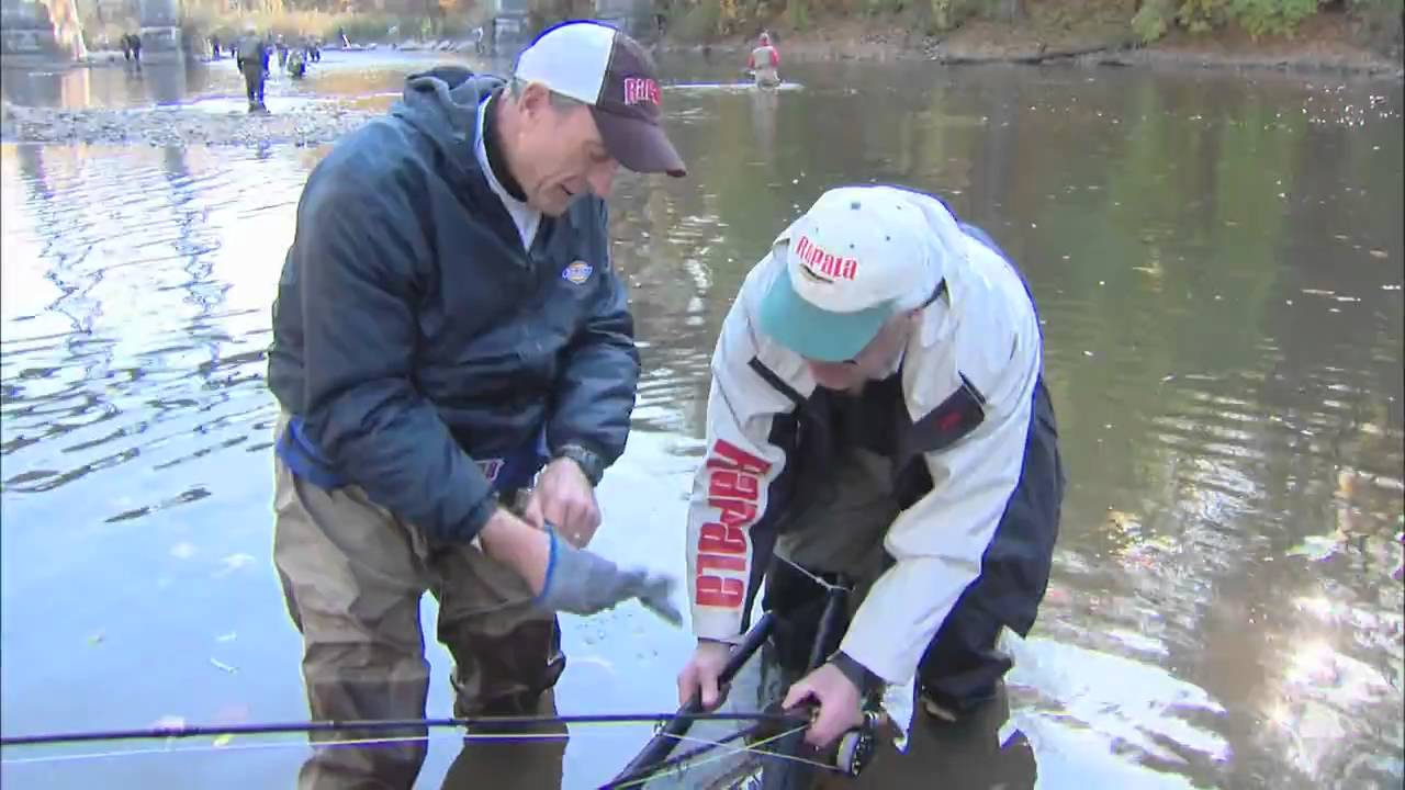 Big Brown caught on 18 Mile Creek NY!!  Csf 24 01 Big Fish
