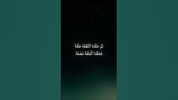 * سورة المؤمنون * القارئ : محمد اللحيدان * Surah Al-Mu’minun * Reader : MUHAMMAD AL LUHAIDAN