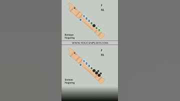 How to play the recorder: Titanic #Shorts #Recorder #HowToPlay