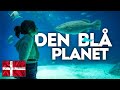 Den Blå Planet - National Aquarium of Denmark in Copenhagen