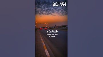 (والصابرين في البأساء والضراء وحين البأس)🎧سورة البقرة - الآية 177 🌿ماهر المعيقلي 🌿