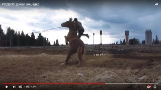 РОДЕО!!! Дикая лошадка! РОДЕО!!! Дикая лошадка!