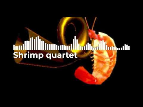 Shrim quartet - the shrimps