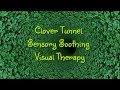 Clover Tunnel Sensory Soothing Visual Therapy Calm Relaxation